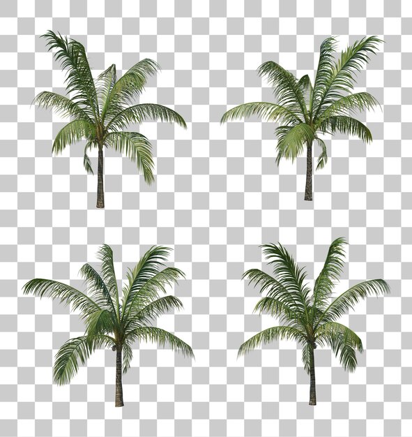 Isometric coconut trees 3d rendering