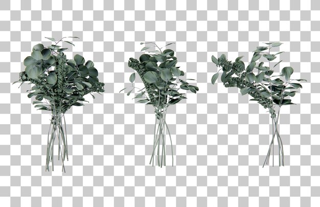 Isometric flower plant 3d rendering