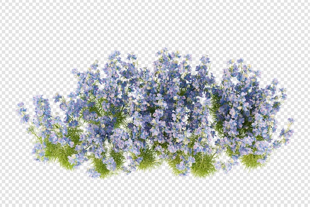 Fiori isometrici nel rendering 3d isolati