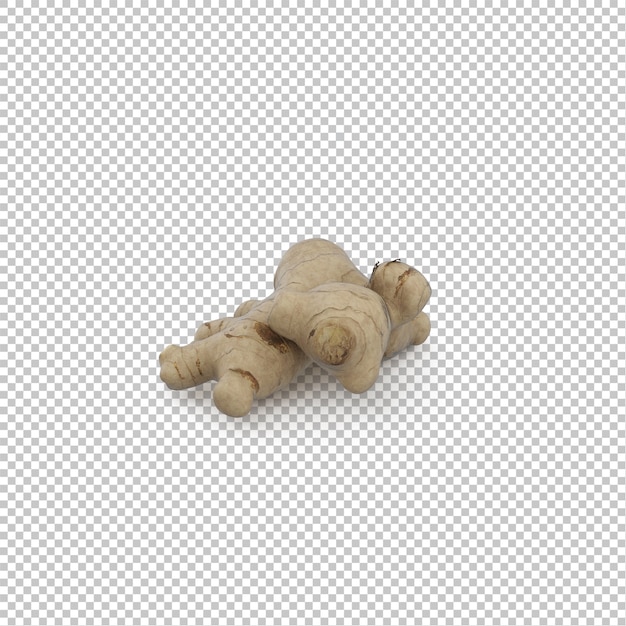 Isometric ginger root