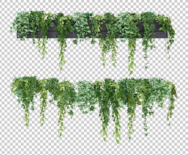 Isometric hanging plant potted 3d rendering