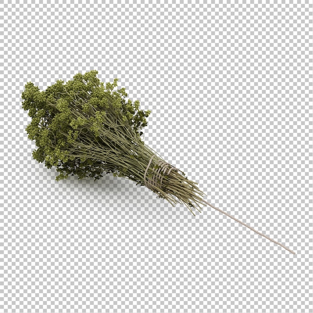 Isometric kitchen herbs