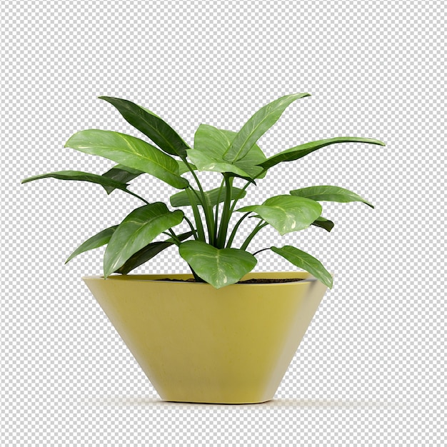 等尺性植物3 dレンダリング