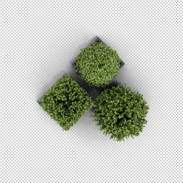 PSD isometric plant 3d rendering