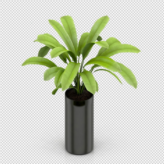 Isometric plant 3d rendering