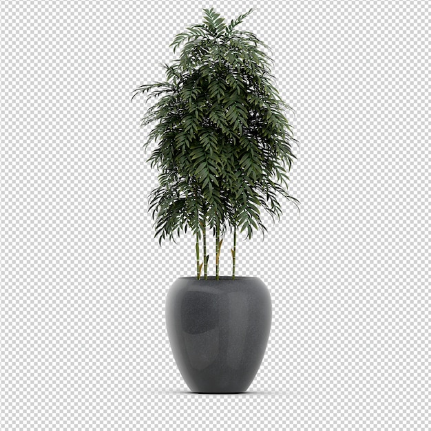 Isometric Plant 3d rendering