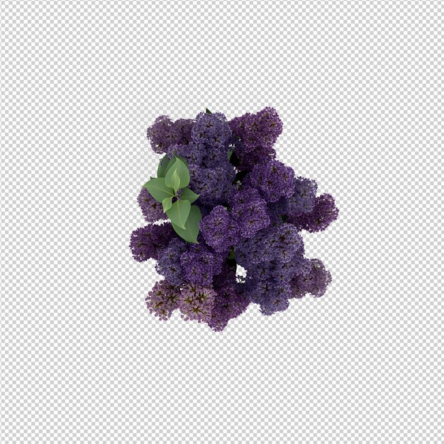 Isometric plant 3d rendering