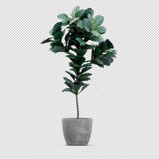 Isometric Plant 3d rendering