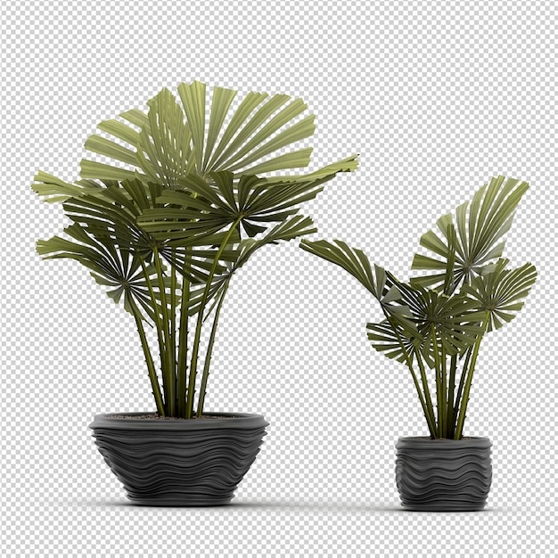 Rappresentazione isometrica della pianta 3d