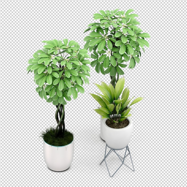 Isometric plant 3d rendering