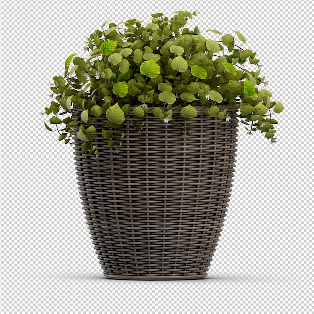 Isometric plant 3d rendering