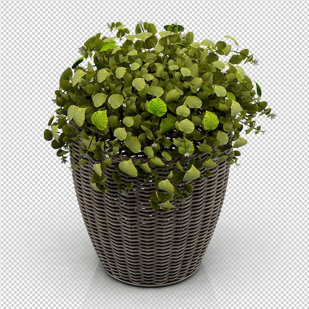 Isometric plant 3d rendering