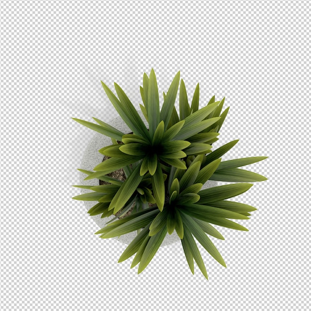 Isometric plant 3d rendering