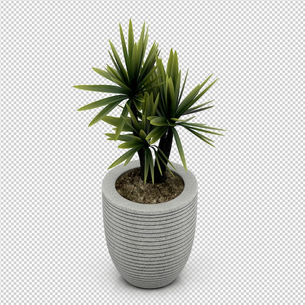 PSD 等尺性植物3 dレンダリング