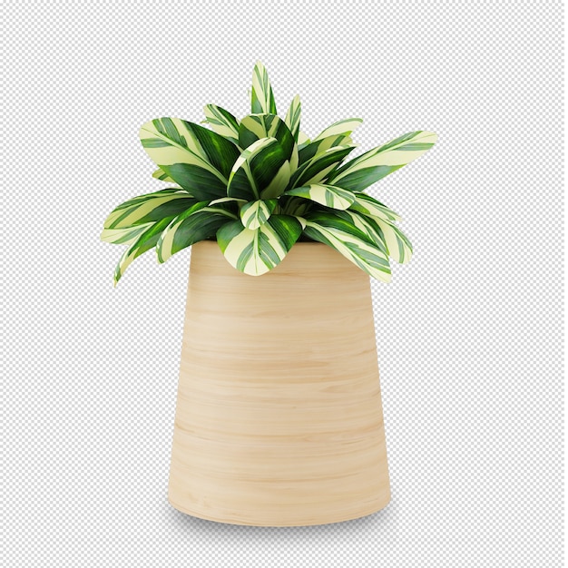 Isometric plant in 3d rendering