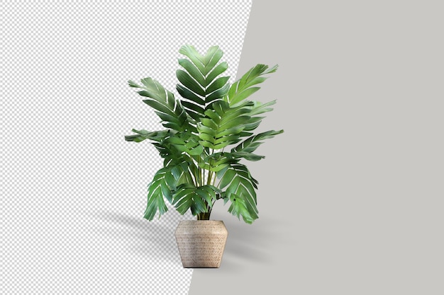 isometric plant 3d rendering