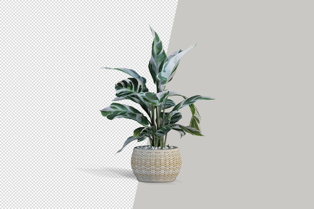 Isometric plant 3d rendering