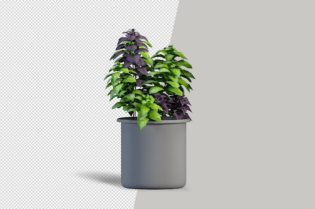 Isometric plant 3d rendering