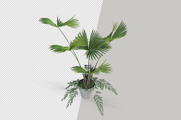 Isometric plant 3d rendering