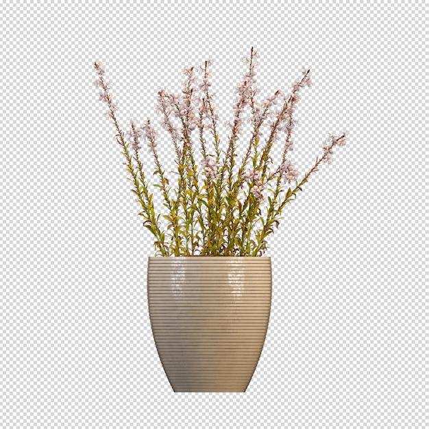 Isometric plant in 3d rendering