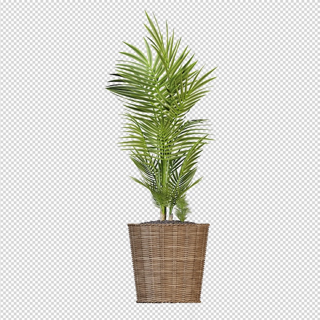 Isometric plant 3d rendering