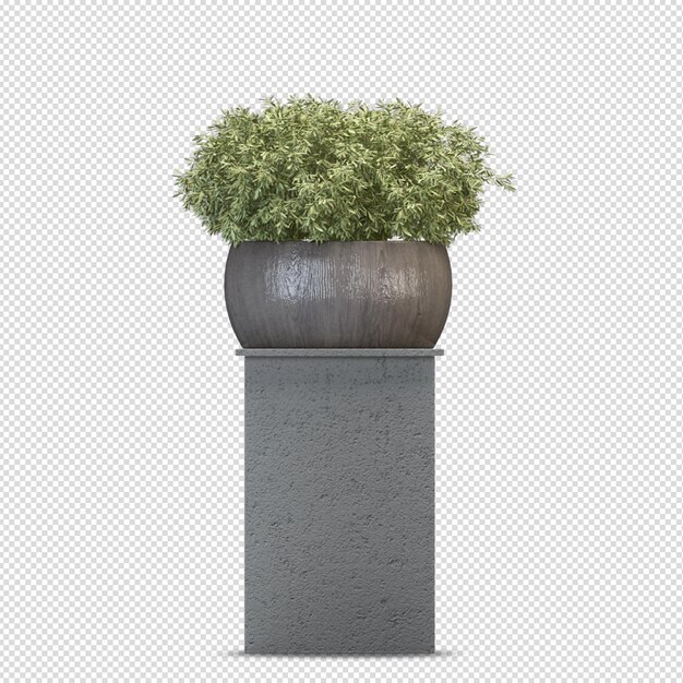 PSD 等尺性植物3 dレンダリング