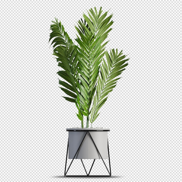 PSD 等尺性植物3 dレンダリング