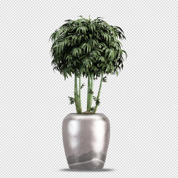 PSD 等尺性植物3 dレンダリング