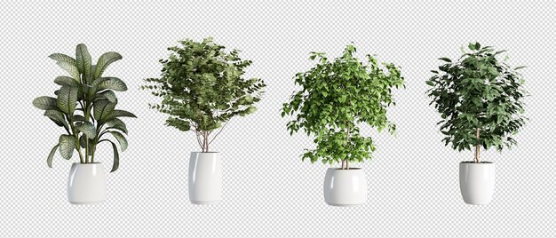 PSD 等尺性植物の 3 d レンダリング