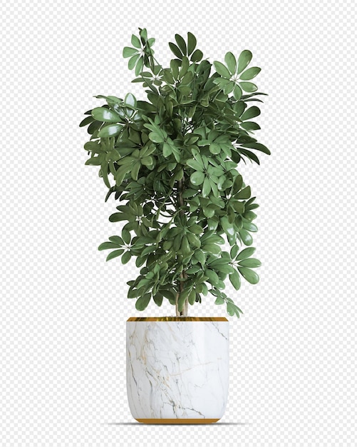 Isometric plant 3d rendering