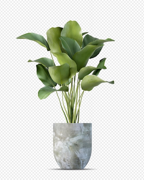 Isometric plant 3d rendering
