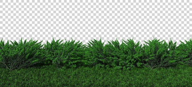 PSD 等尺性植物草ブッシュ3dレンダリング