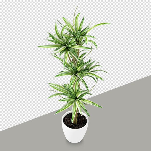 分離された3 dレンダリングで等尺性植物