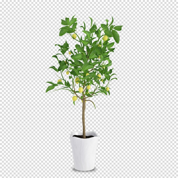 PSD 3dレンダリングの等尺性植物