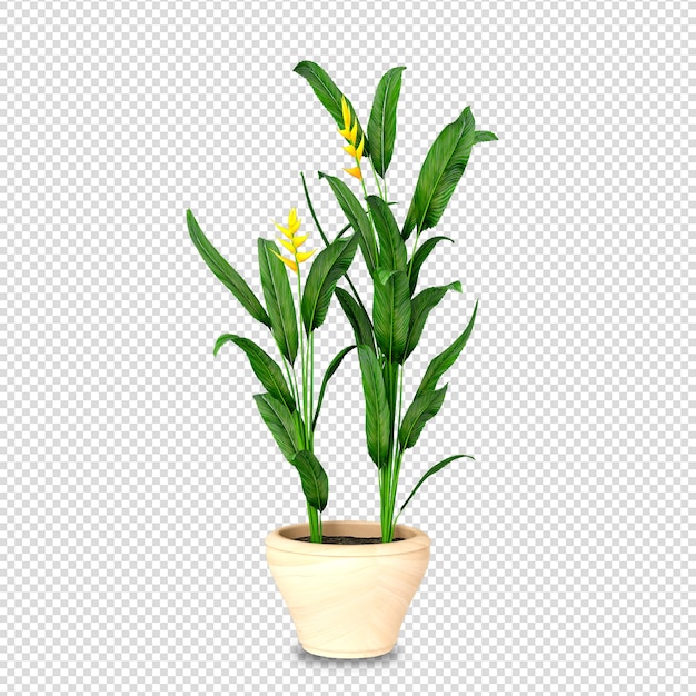 PSD 3dレンダリングの等尺性植物