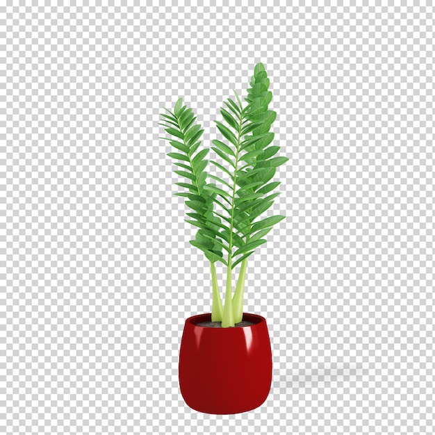 Isometric plant in pot 3d rendering