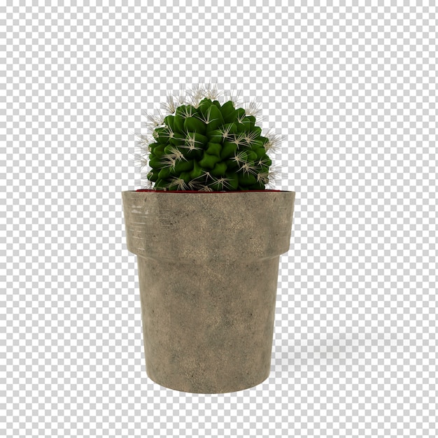 Isometric plant in pot 3d rendering