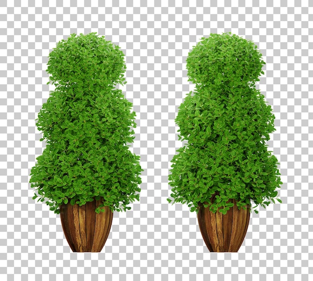 PSD isometric plant potted 3d rendering set