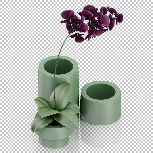 Isometric plant