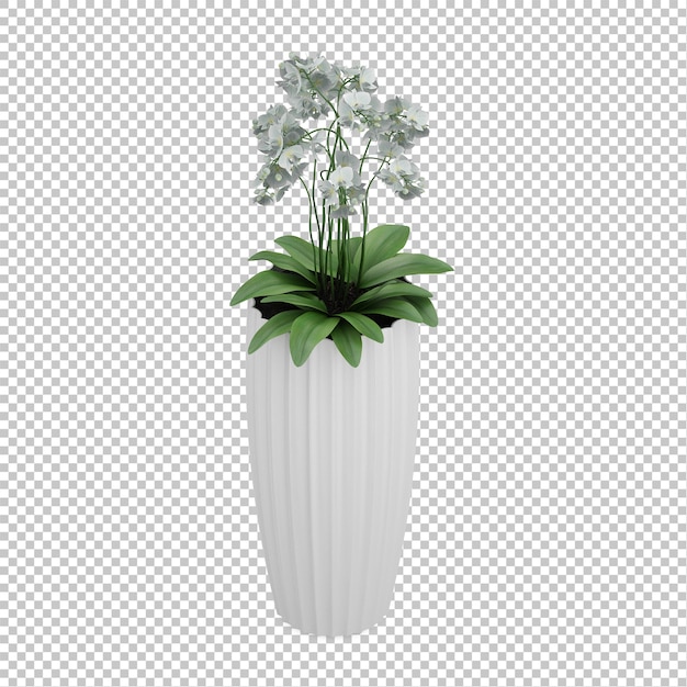 Isometric plant