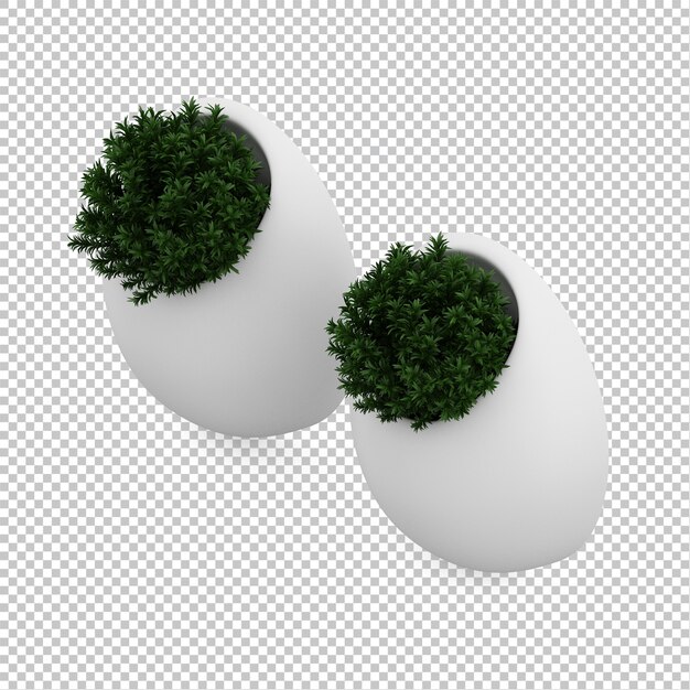 Isometric plant