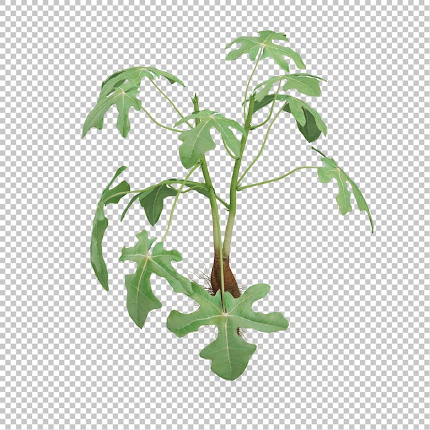 Isometric Plant