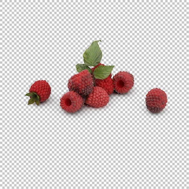 PSD isometric raspberries