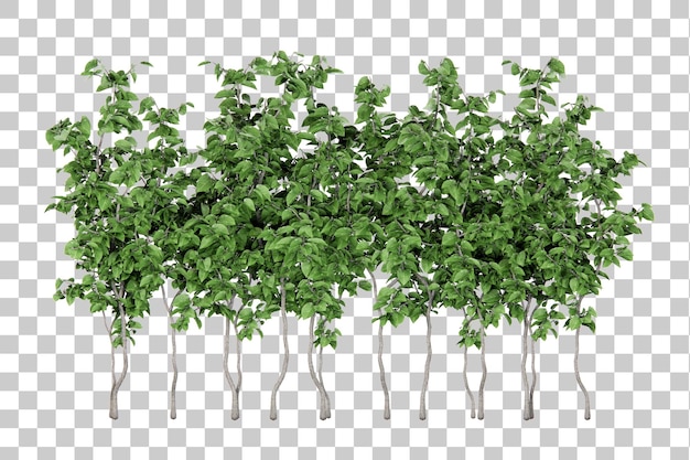 Isometric shrub greenery cutout