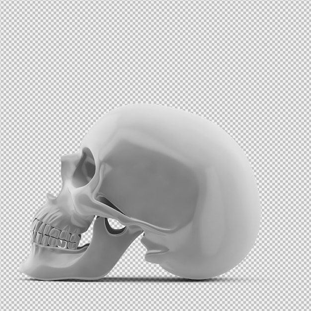 PSD isometric skull 3d isolated render