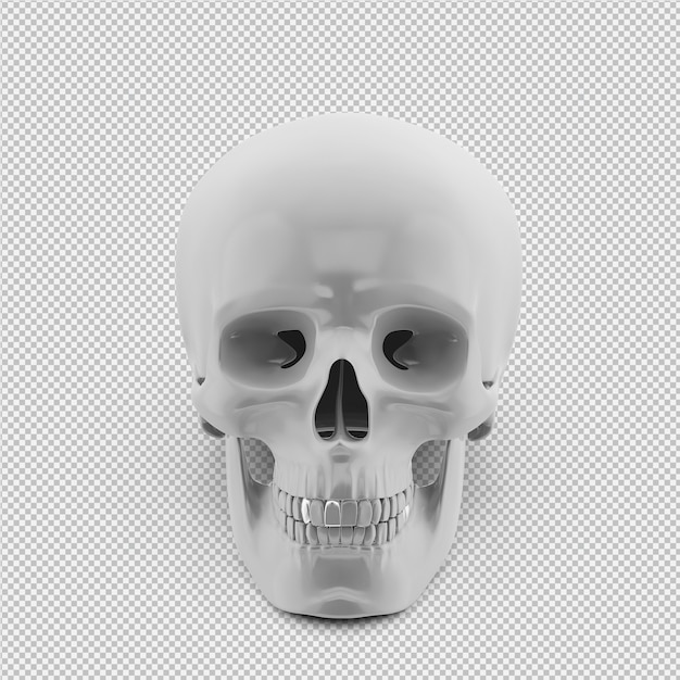 PSD isometric skull 3d isolated render