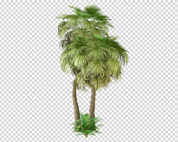 Isometric summer plant in 3d rendering isolated