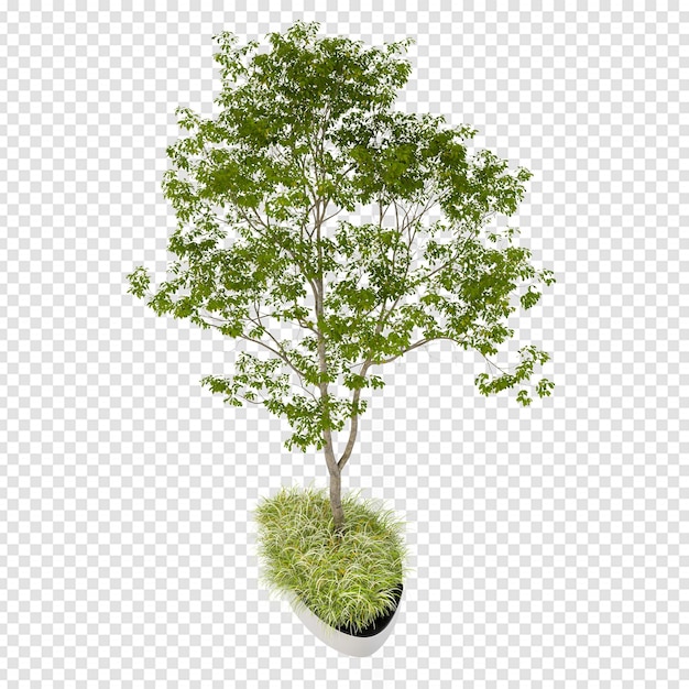 PSD isometric tree in 3d rendering