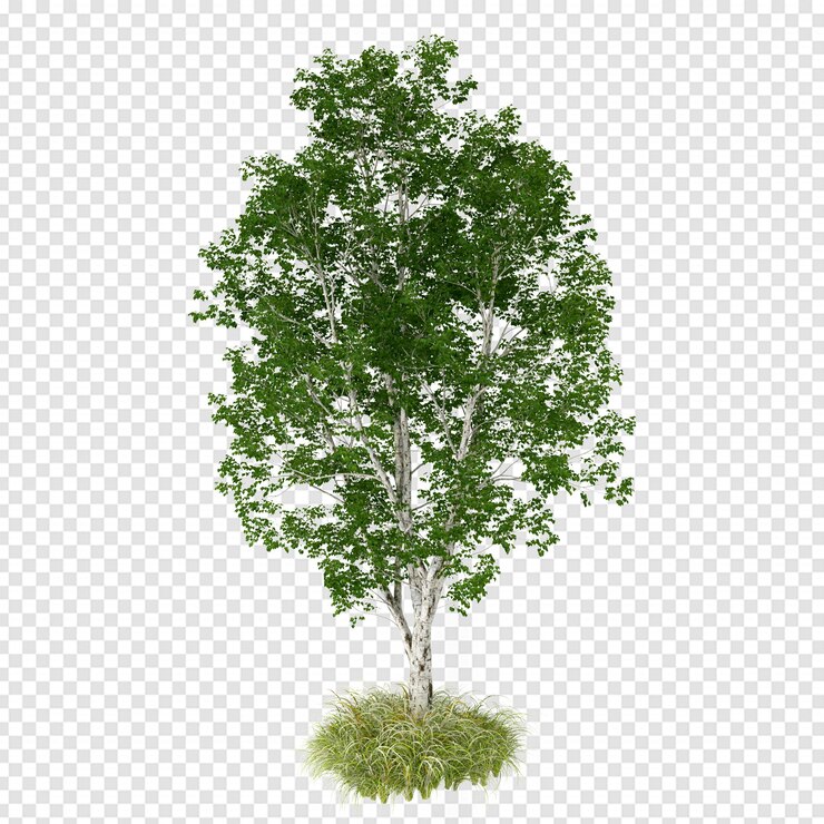 PSD isometric tree in 3d rendering