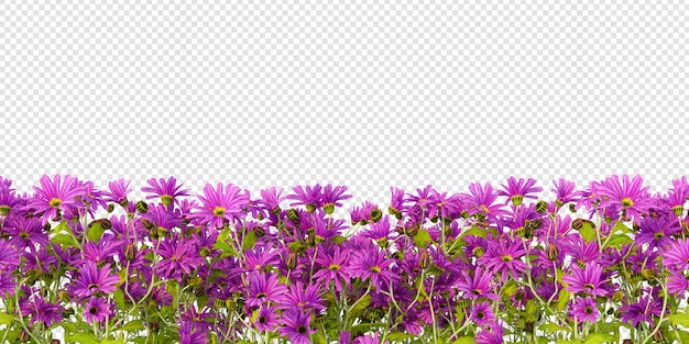 PSD isometrische bloemen in 3d-rendering geïsoleerd